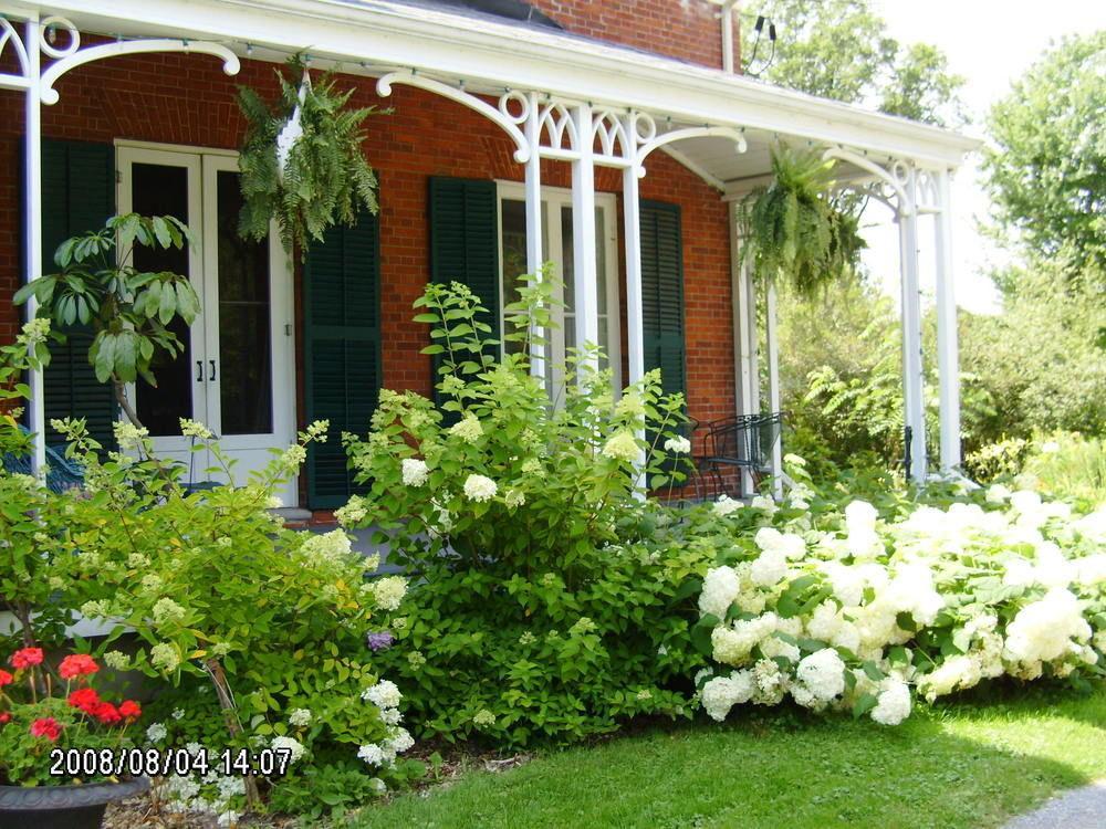 Mackechnie House Bed & Breakfast โคเบิร์ก ภายนอก รูปภาพ
